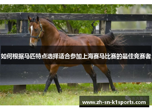 如何根据马匹特点选择适合参加上海赛马比赛的最佳竞赛者
